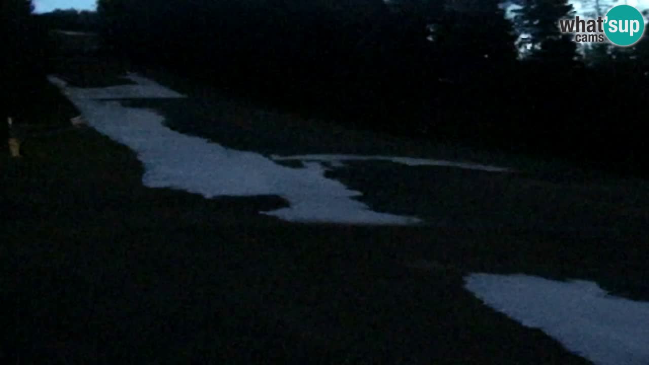 Webcam Pohorje Trikotna Jasa | Poštela