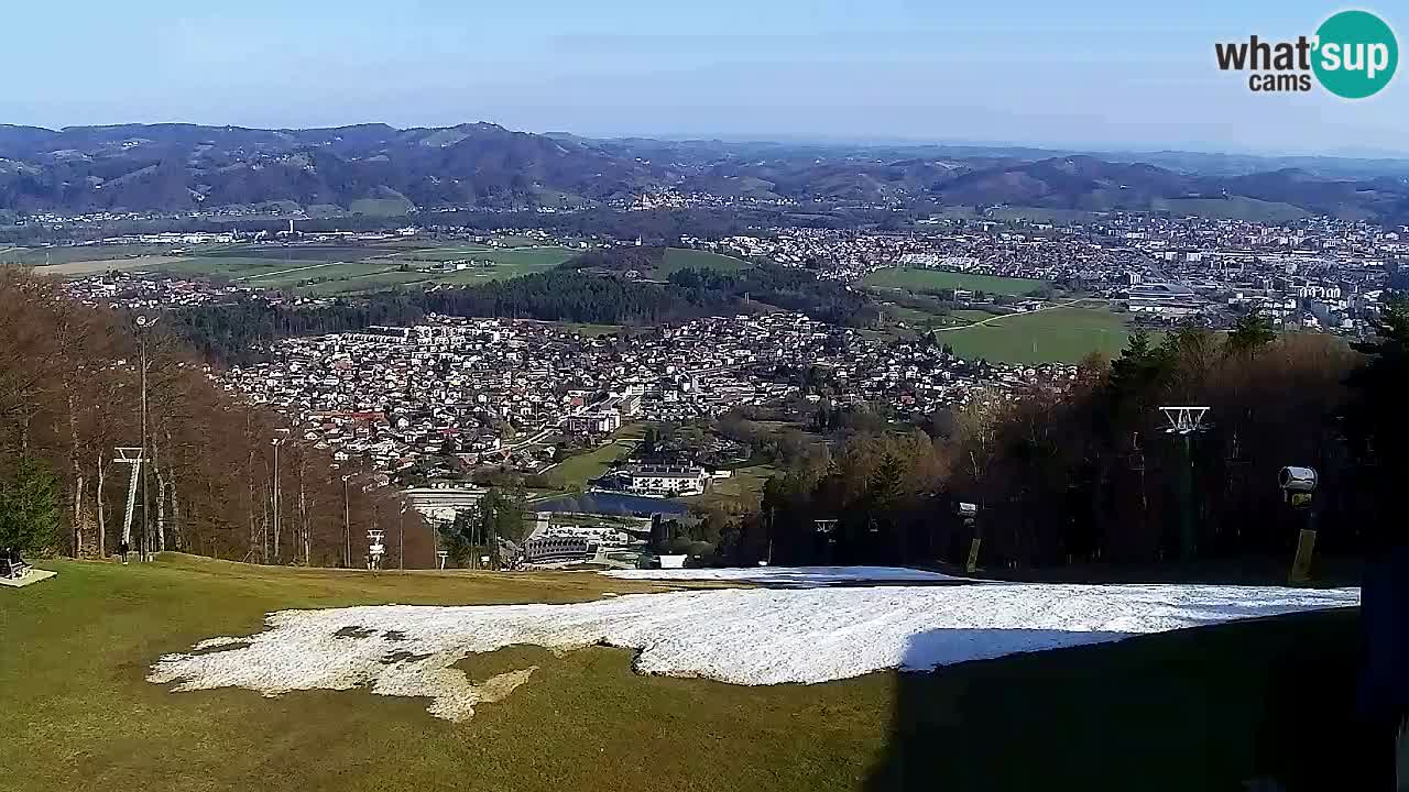 Webcam Pohorje Trikotna Jasa | Poštela