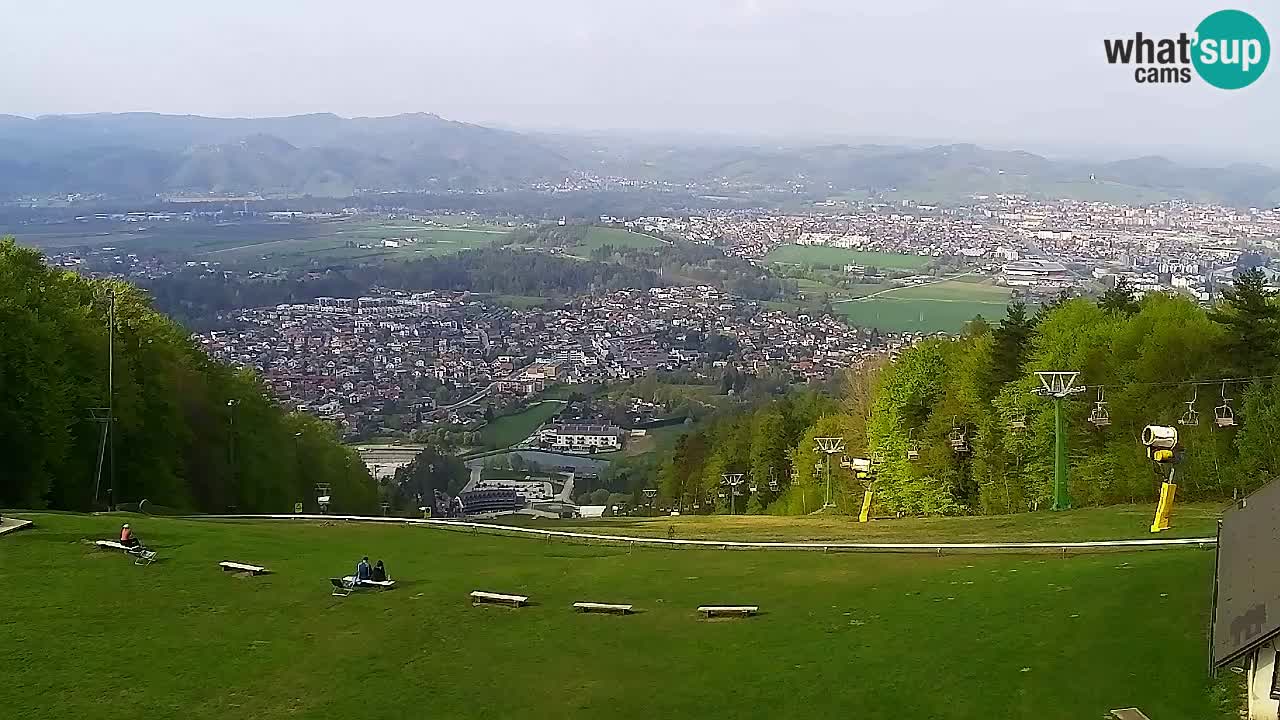 Webcam Pohorje Trikotna Jasa | Poštela