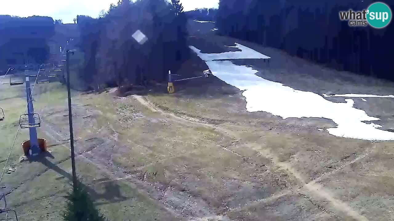 Webcam Pohorje Trikotna Jasa | Poštela