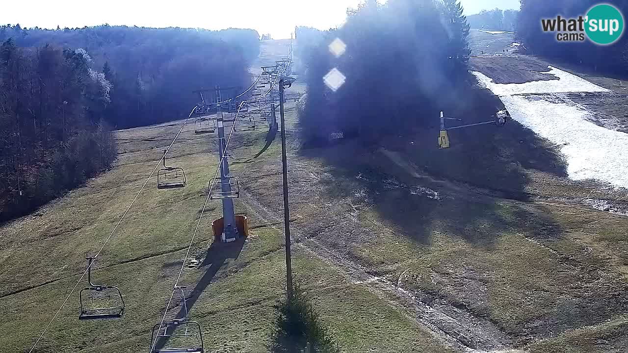 Webcam Pohorje Trikotna Jasa | Poštela