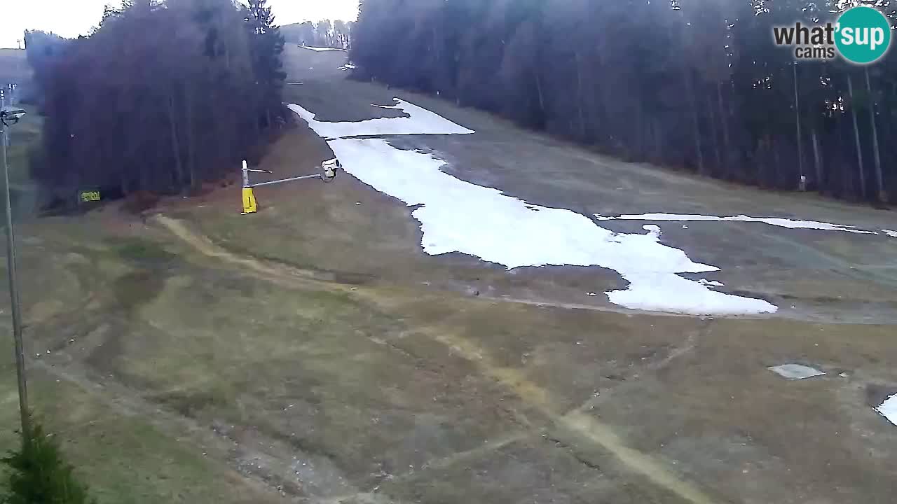 Webcam Pohorje Trikotna Jasa | Poštela