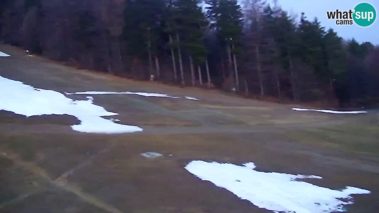 Webcam Pohorje Trikotna Jasa | Poštela