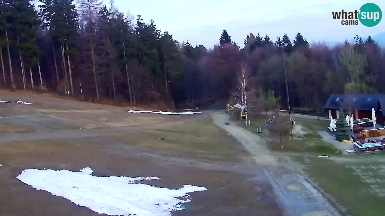 Webcam Pohorje Trikotna Jasa | Poštela