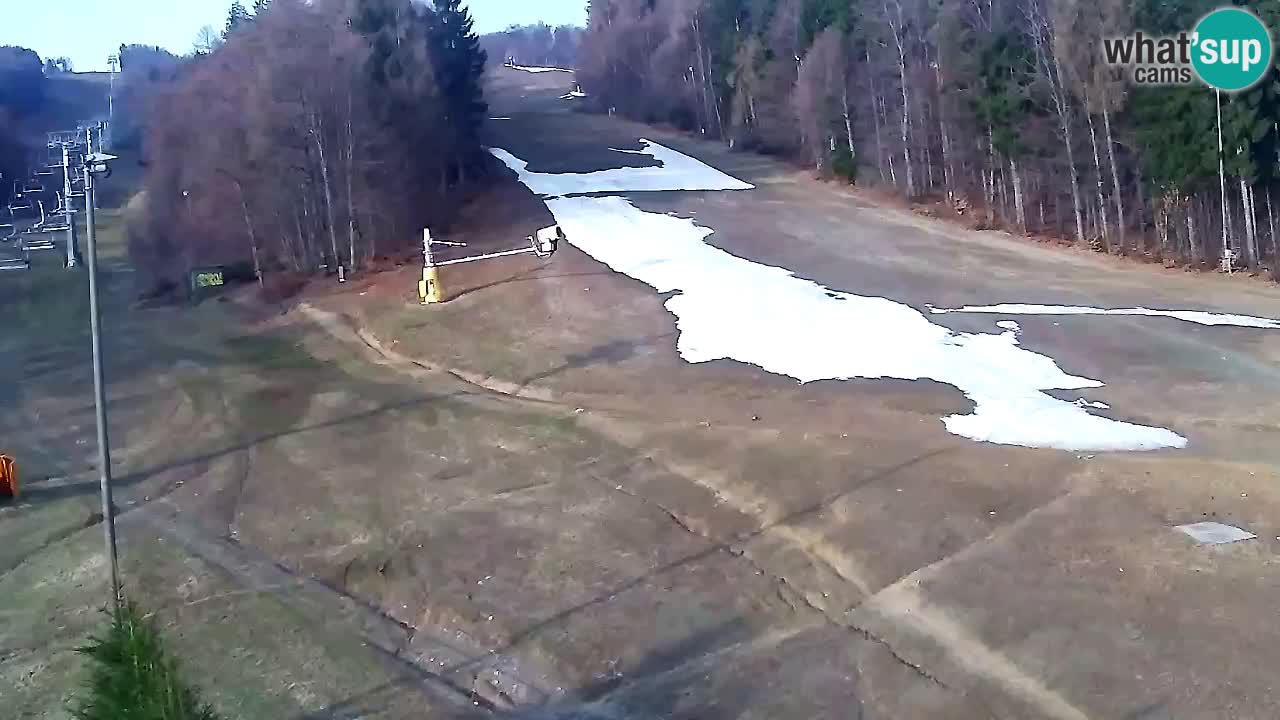 Webcam Pohorje Trikotna Jasa | Poštela