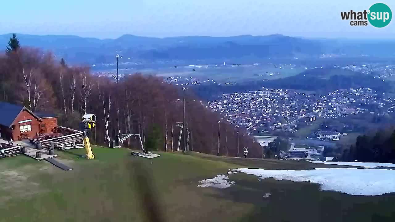 Webcam Pohorje Trikotna Jasa | Poštela