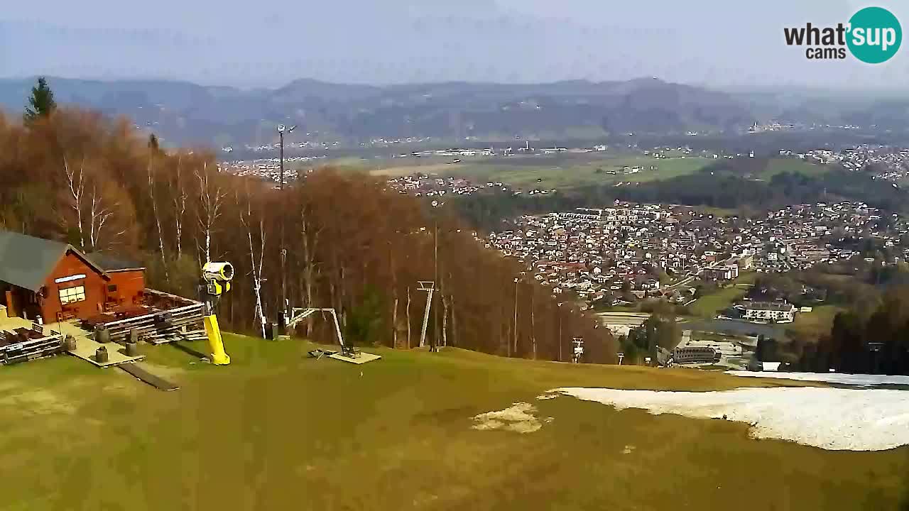 Webcam Pohorje Trikotna Jasa | Poštela