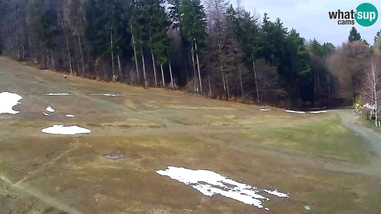 Webcam Pohorje Trikotna Jasa | Poštela