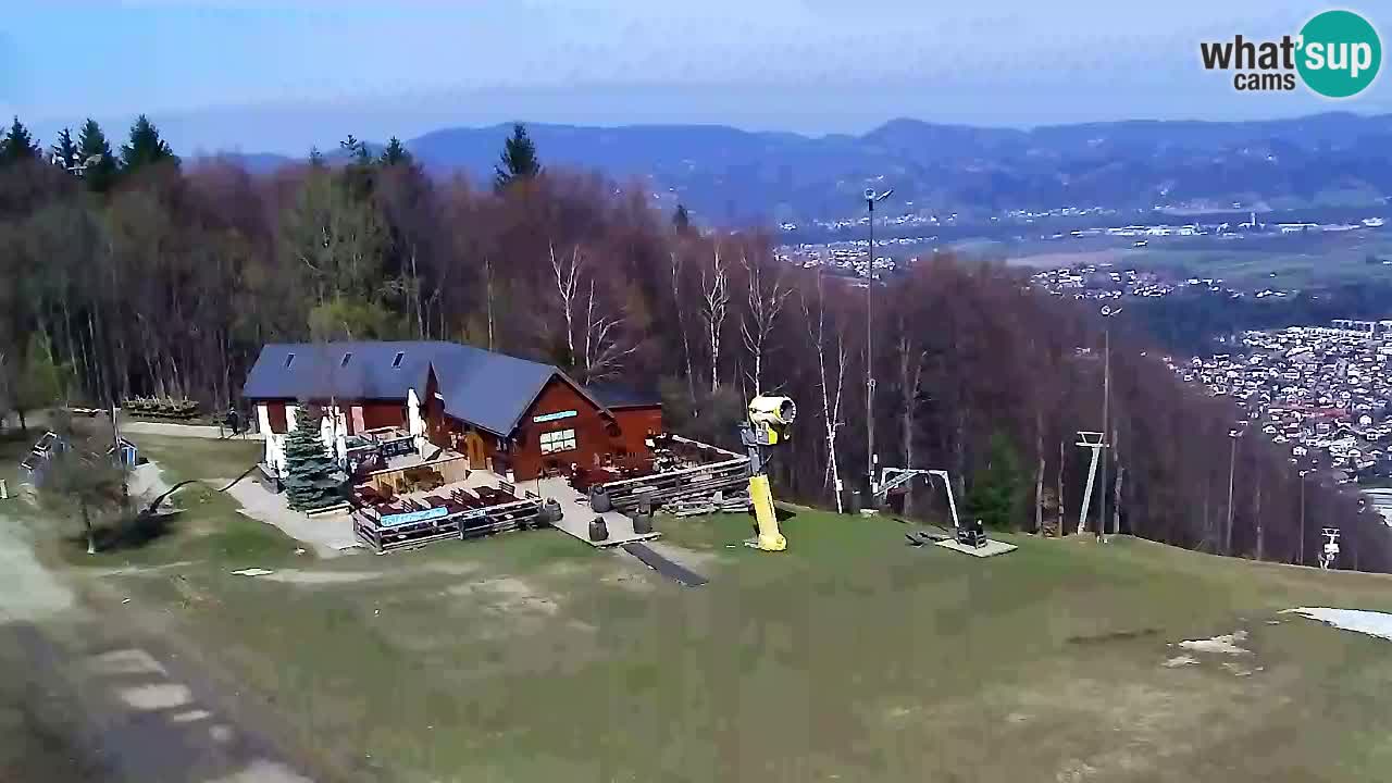 Webcam Pohorje Trikotna Jasa | Poštela