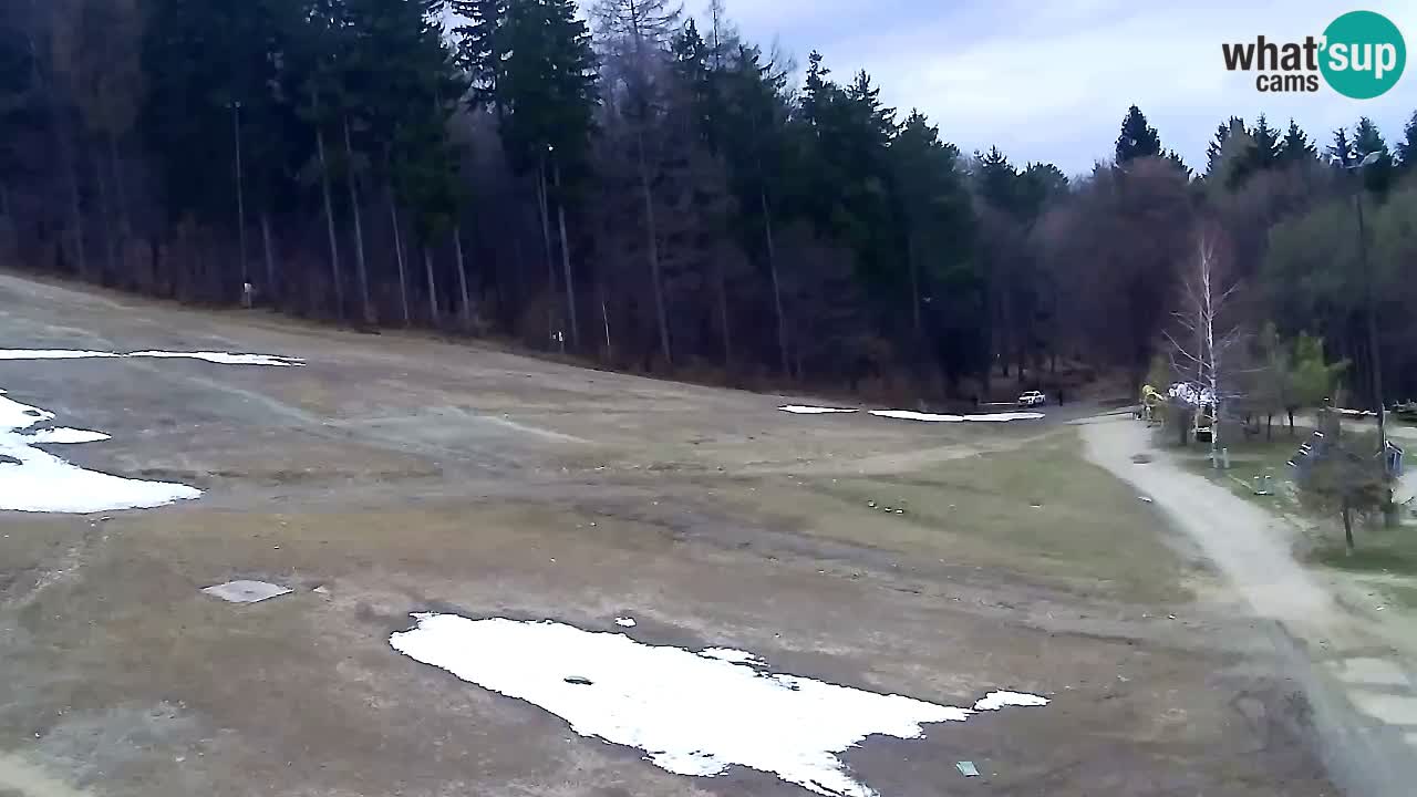 Webcam Pohorje Trikotna Jasa | Poštela