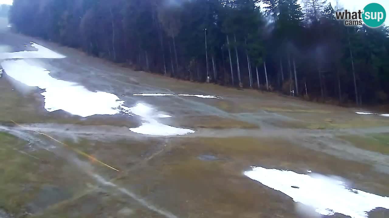 Webcam Pohorje Trikotna Jasa | Poštela