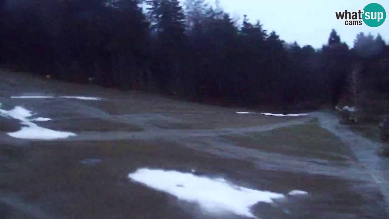 Webcam Pohorje Trikotna Jasa | Poštela