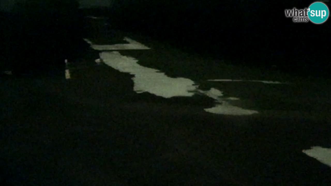 Webcam Pohorje Trikotna Jasa | Poštela