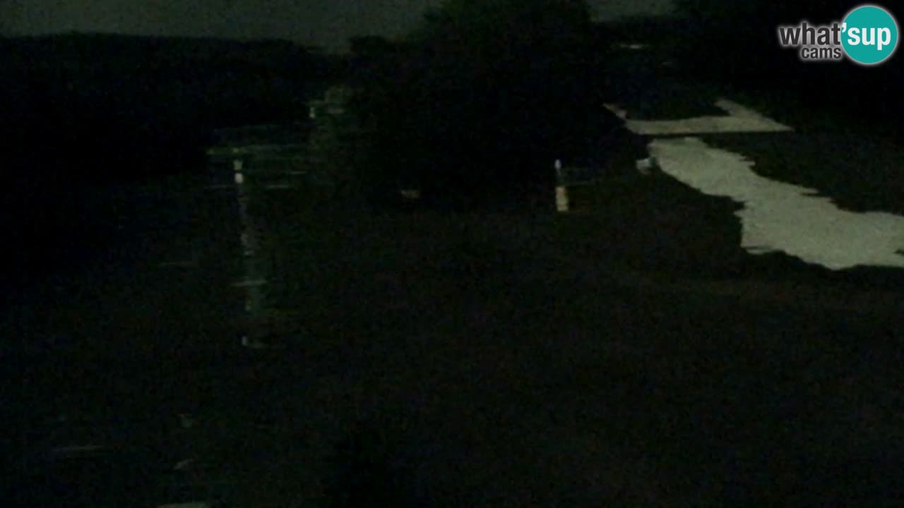 Webcam Pohorje Trikotna Jasa | Poštela