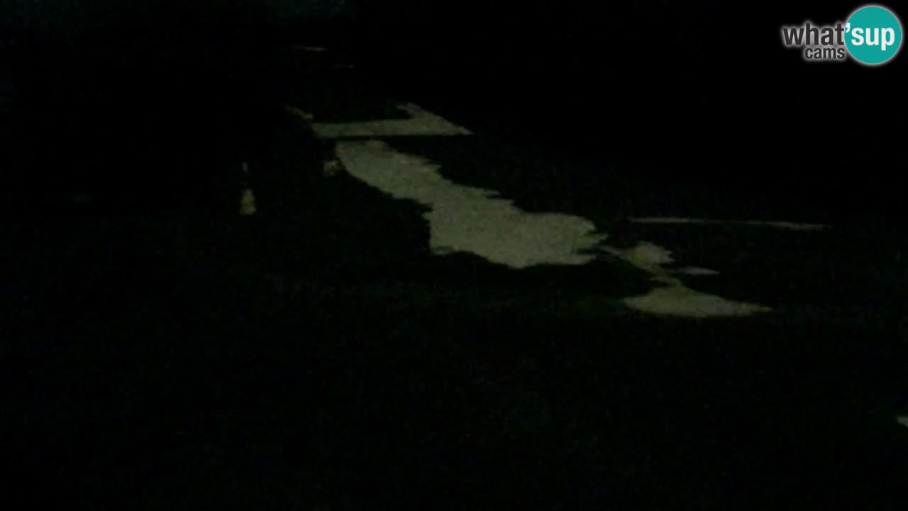 Webcam Pohorje Trikotna Jasa | Poštela