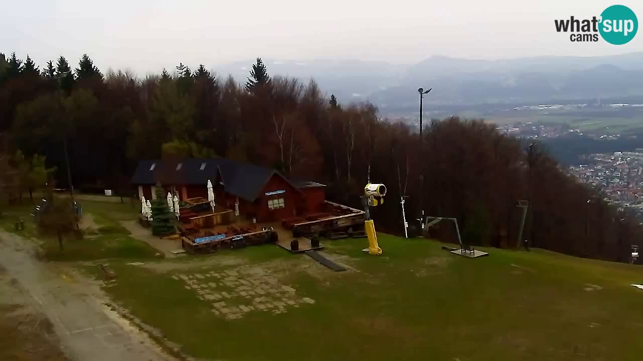 Webcam Pohorje Trikotna Jasa | Poštela