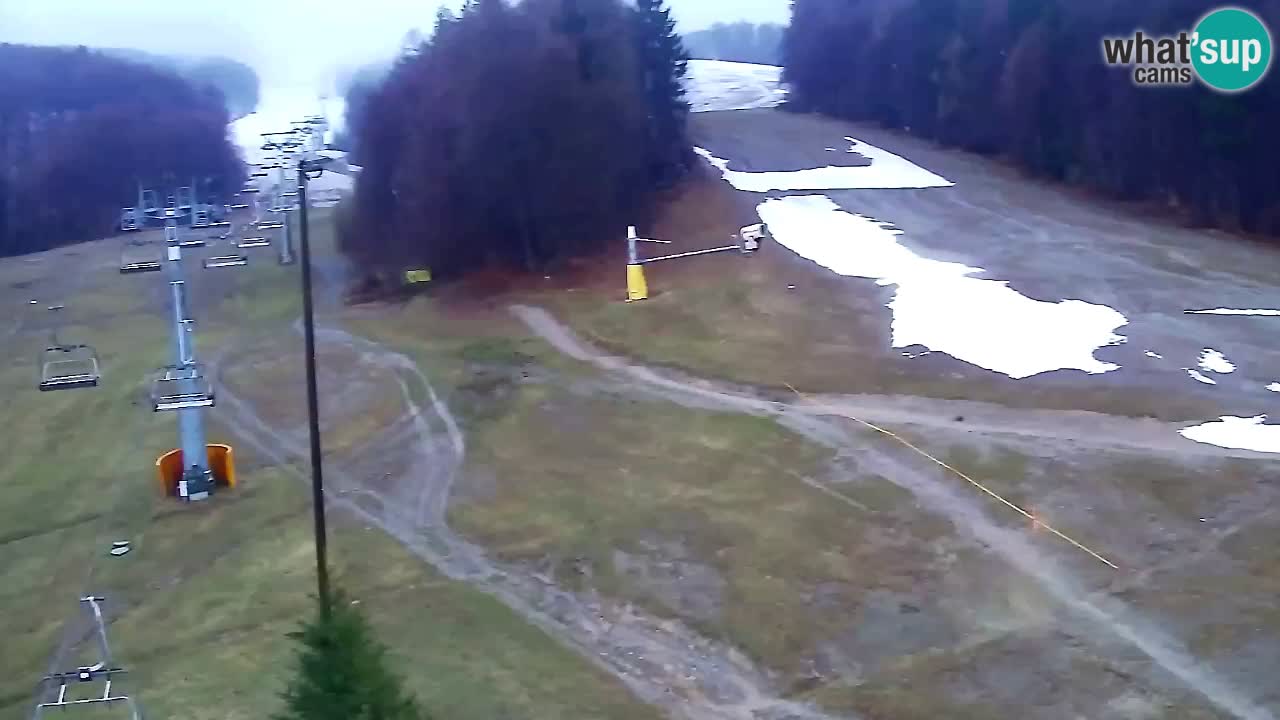 Webcam Pohorje Trikotna Jasa | Poštela