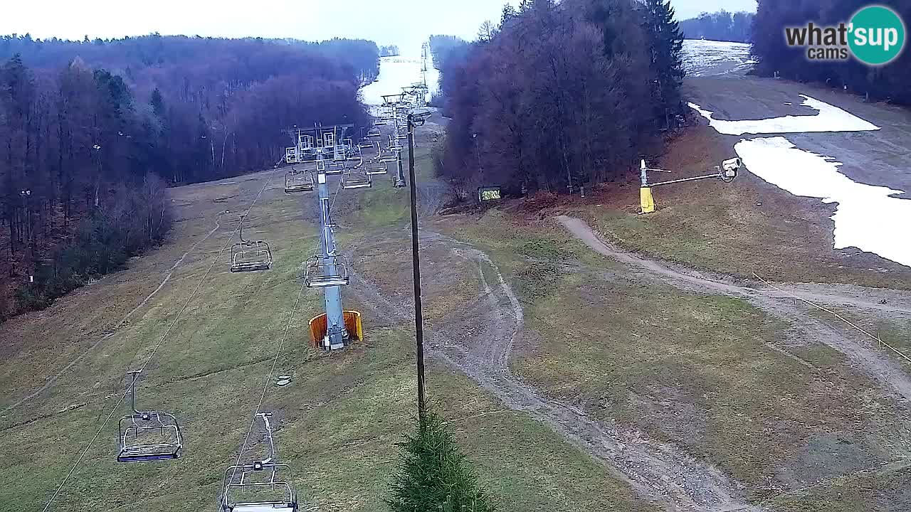 Webcam Pohorje Trikotna Jasa | Poštela