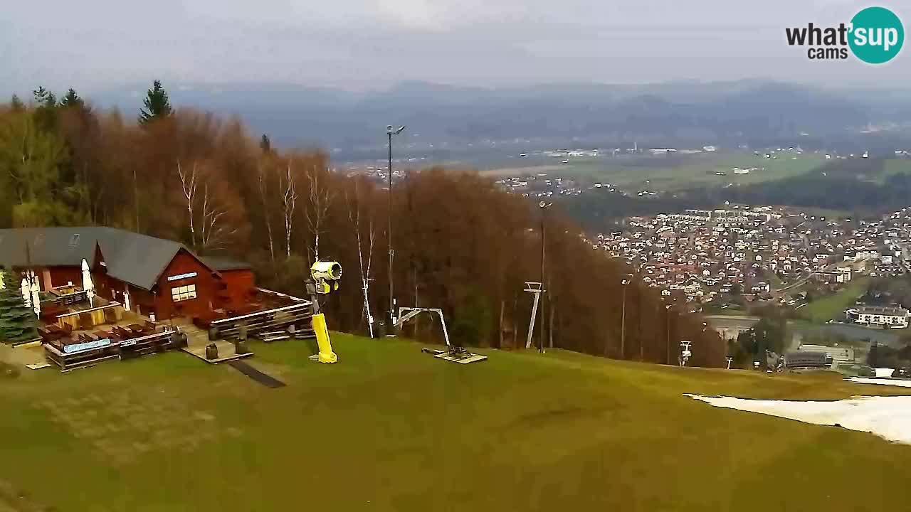Webcam Pohorje Trikotna Jasa | Poštela