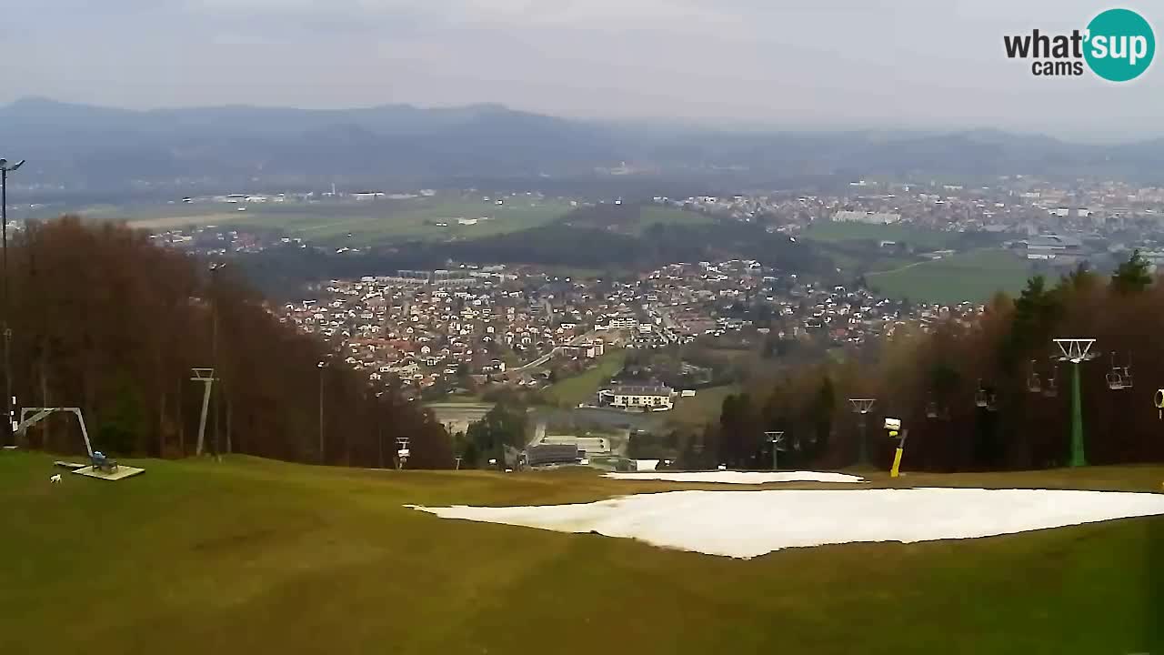 Web Camera Pohorje Trikotna Jasa | Poštela