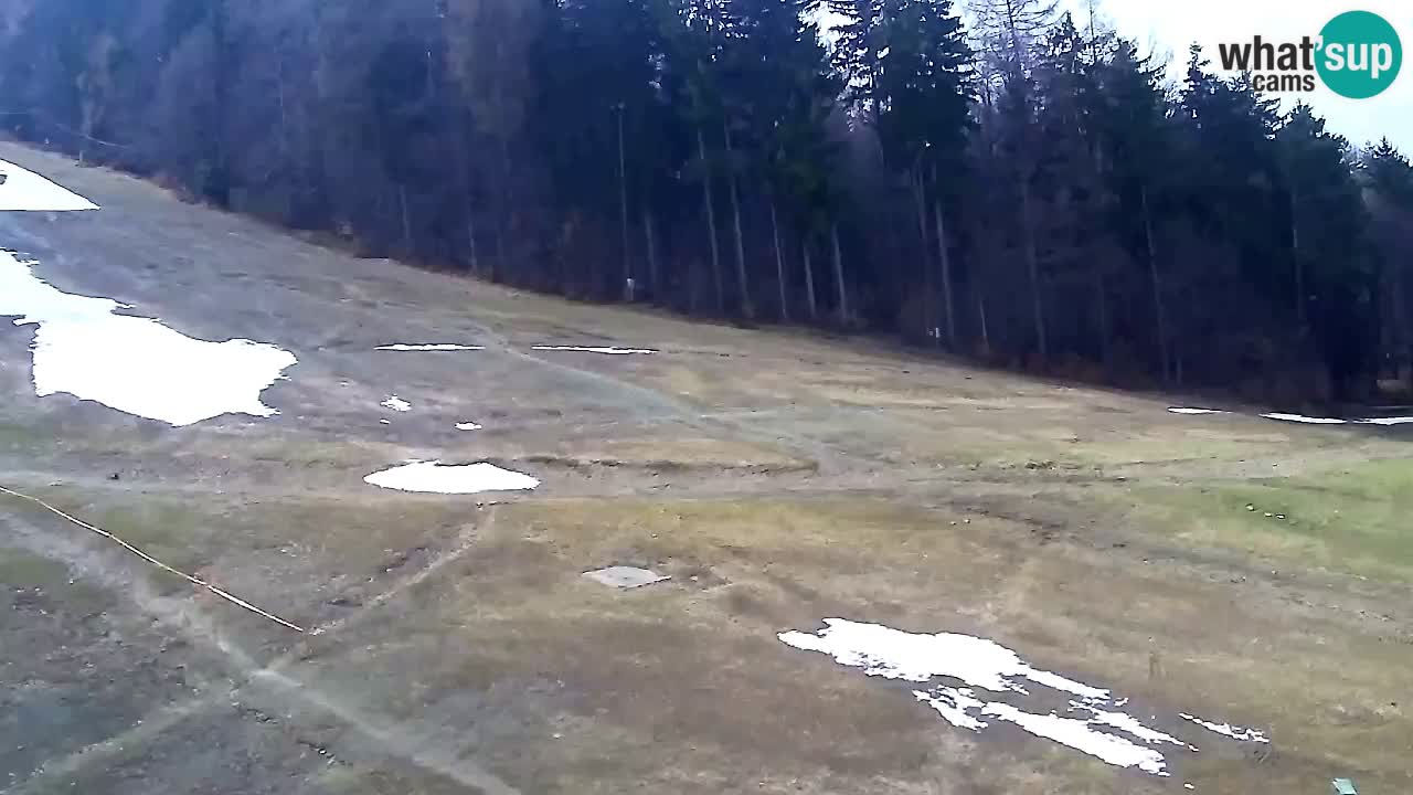 Webcam Pohorje Trikotna Jasa | Poštela