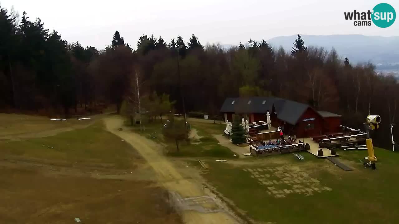 Webcam Pohorje Trikotna Jasa | Poštela