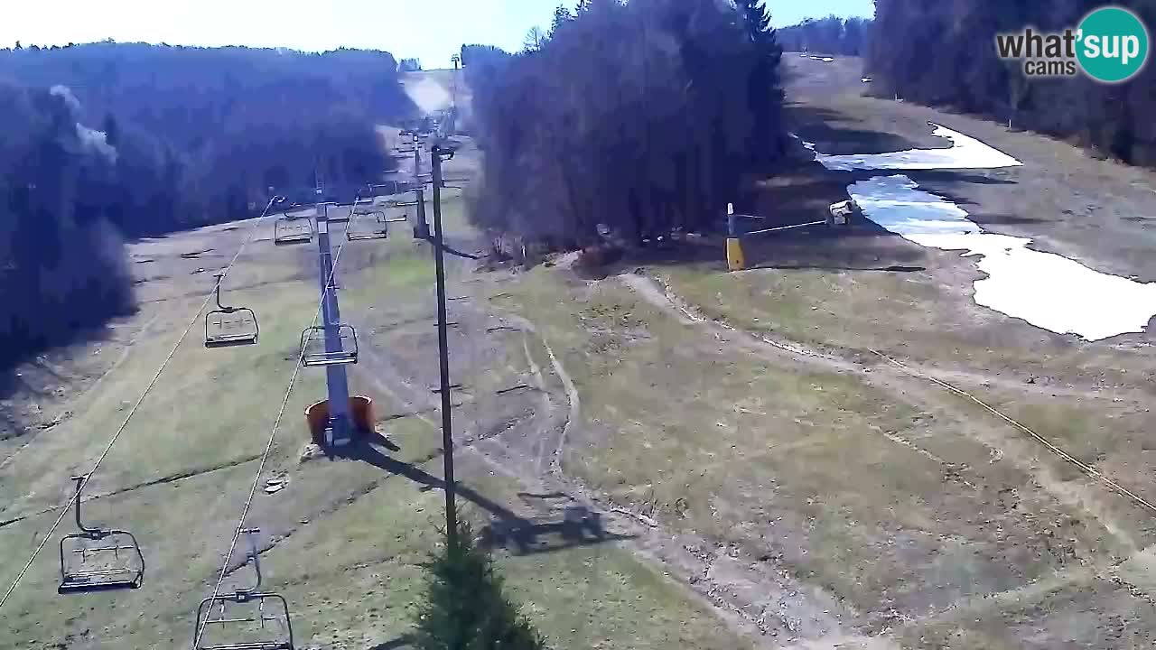 Webcam Pohorje Trikotna Jasa | Poštela
