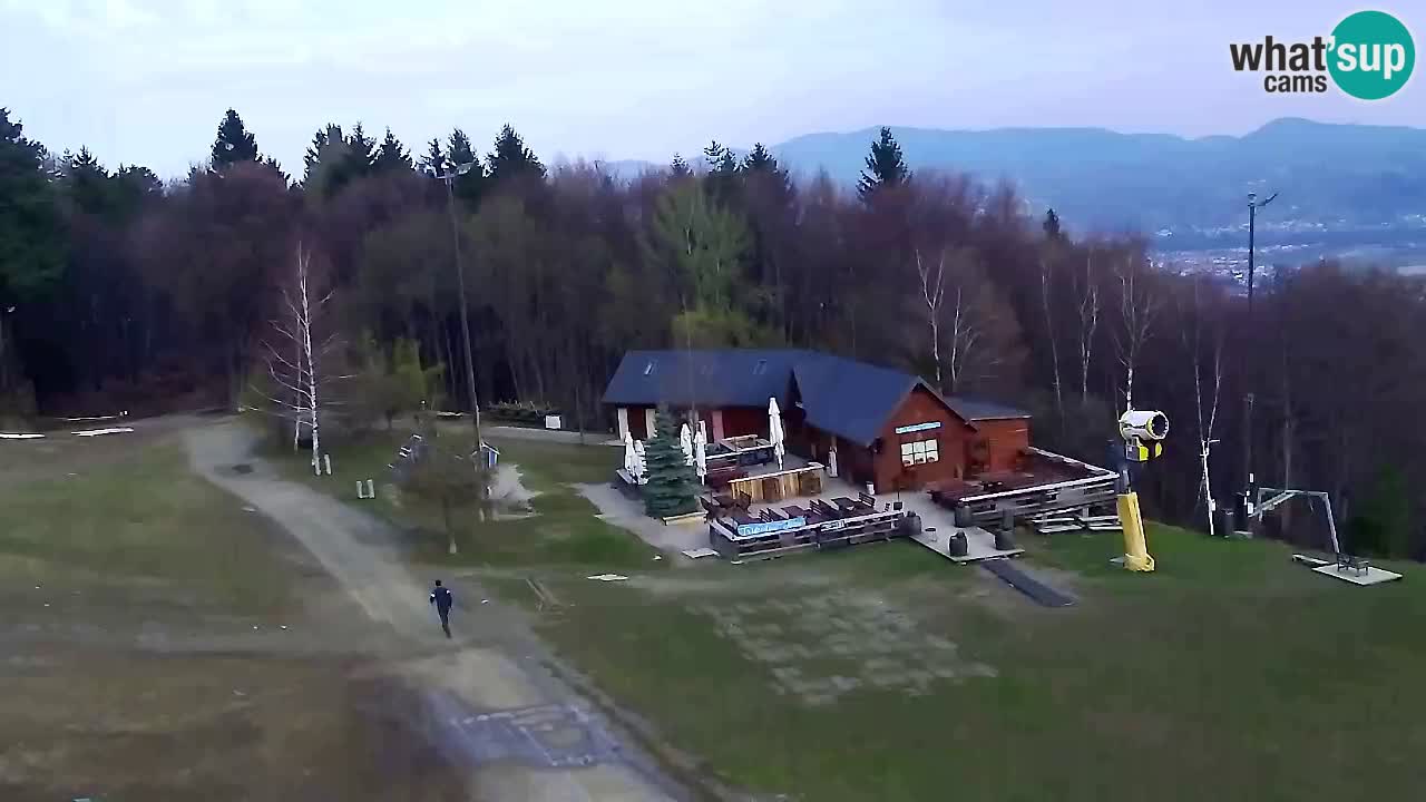 Webcam Pohorje Trikotna Jasa | Poštela