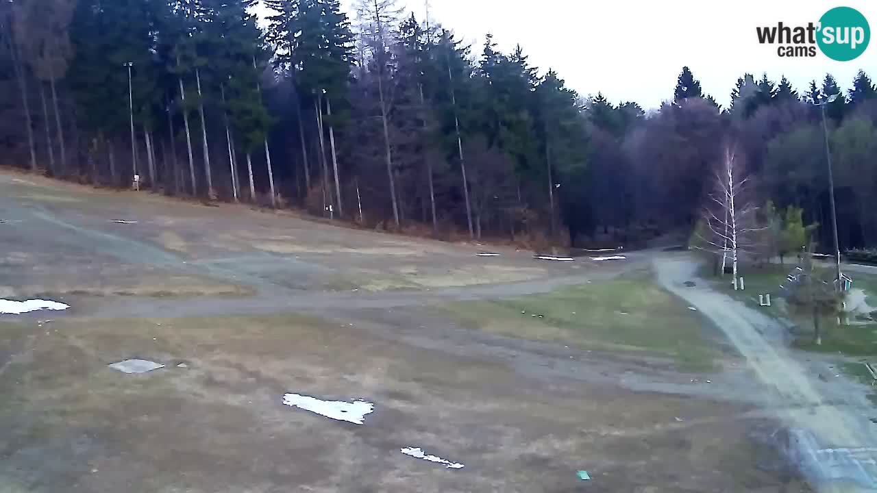 Webcam Pohorje Trikotna Jasa | Poštela