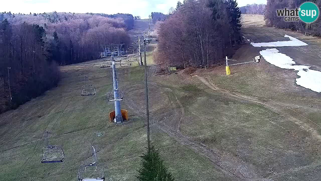 Webcam Pohorje Trikotna Jasa | Poštela