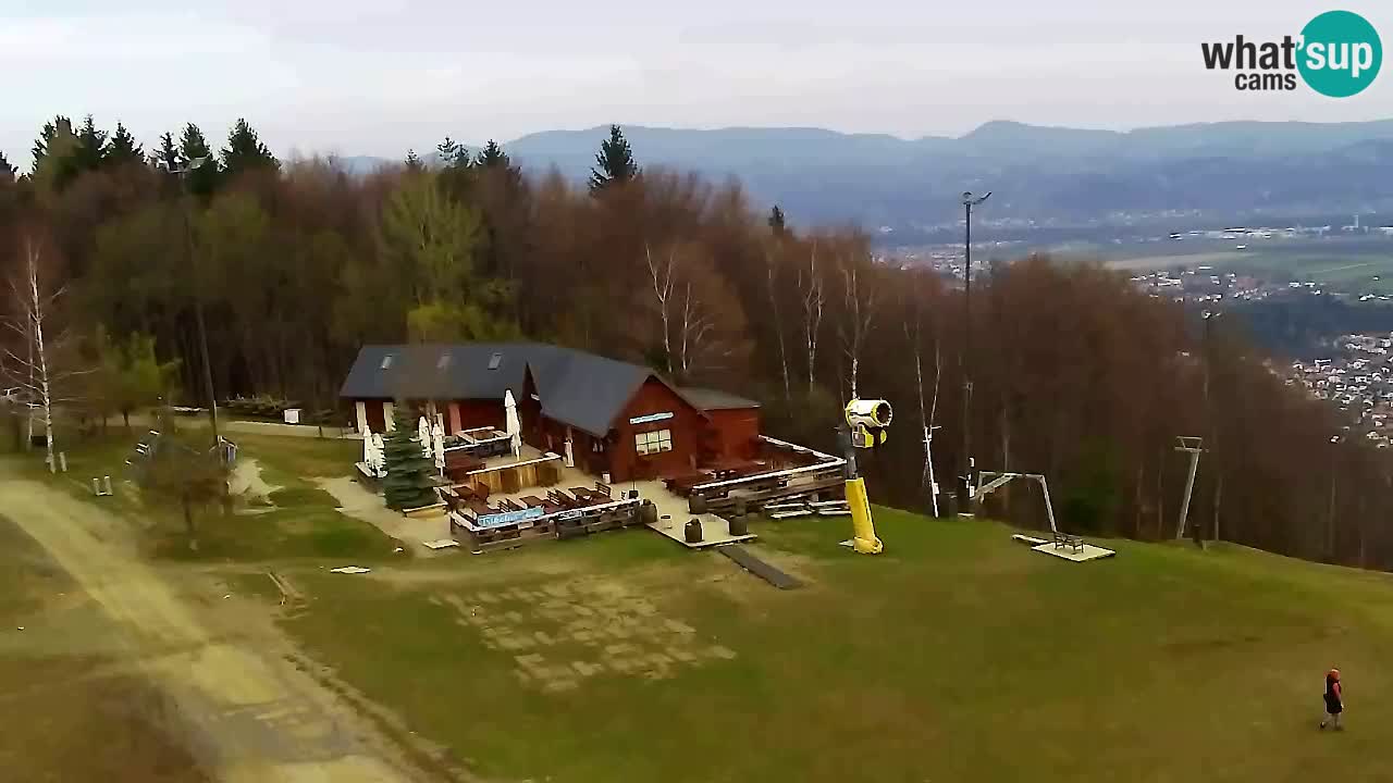 Webcam Pohorje Trikotna Jasa | Poštela