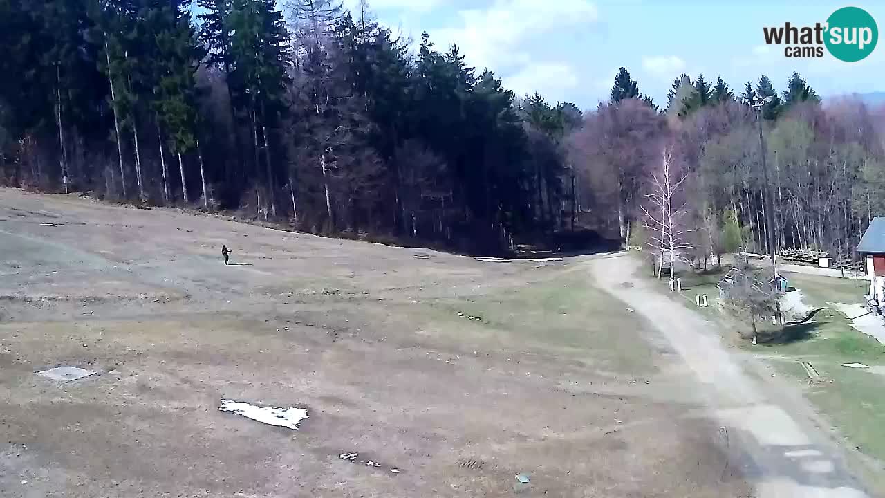 Web Camera Pohorje Trikotna Jasa | Poštela