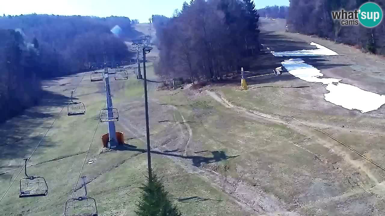 Webcam Pohorje Trikotna Jasa | Poštela