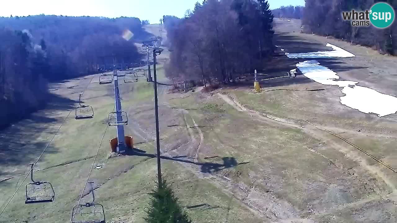 Web Camera Pohorje Trikotna Jasa | Poštela