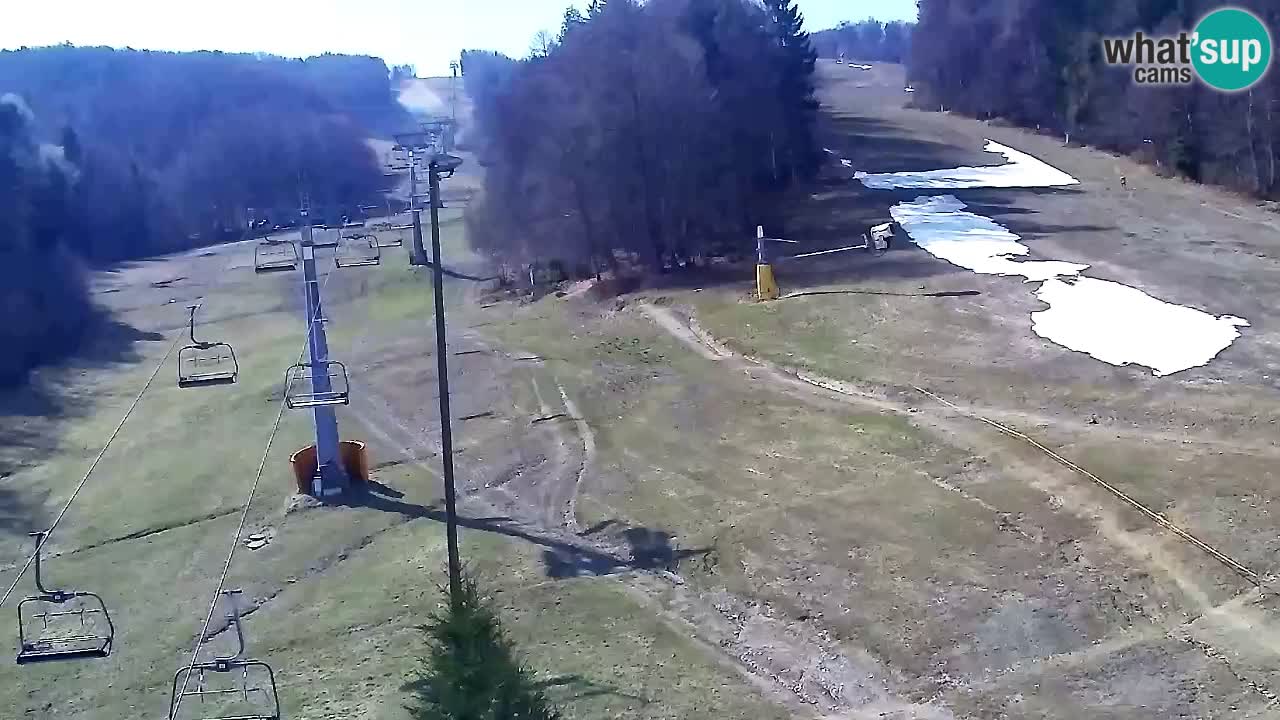 Webcam Pohorje Trikotna Jasa | Poštela