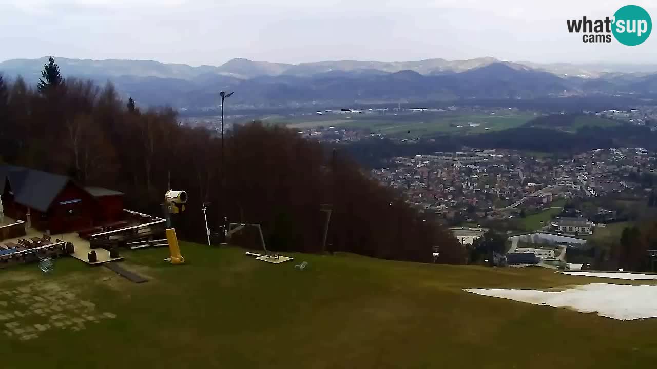 Webcam Pohorje Trikotna Jasa | Poštela