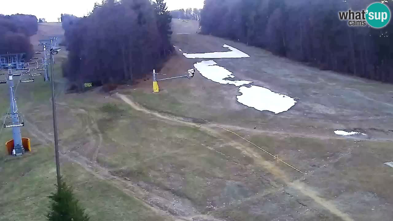 Web Camera Pohorje Trikotna Jasa | Poštela