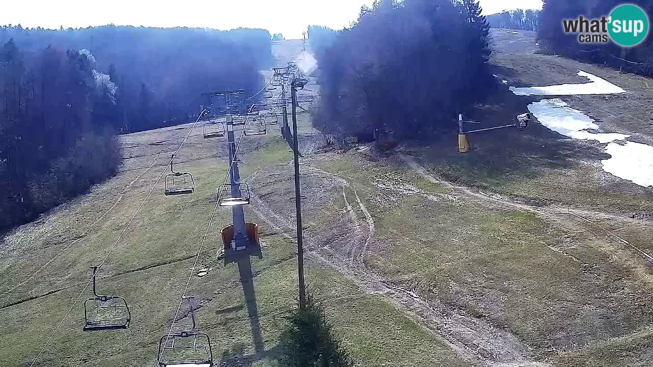 Webcam Pohorje Trikotna Jasa | Poštela
