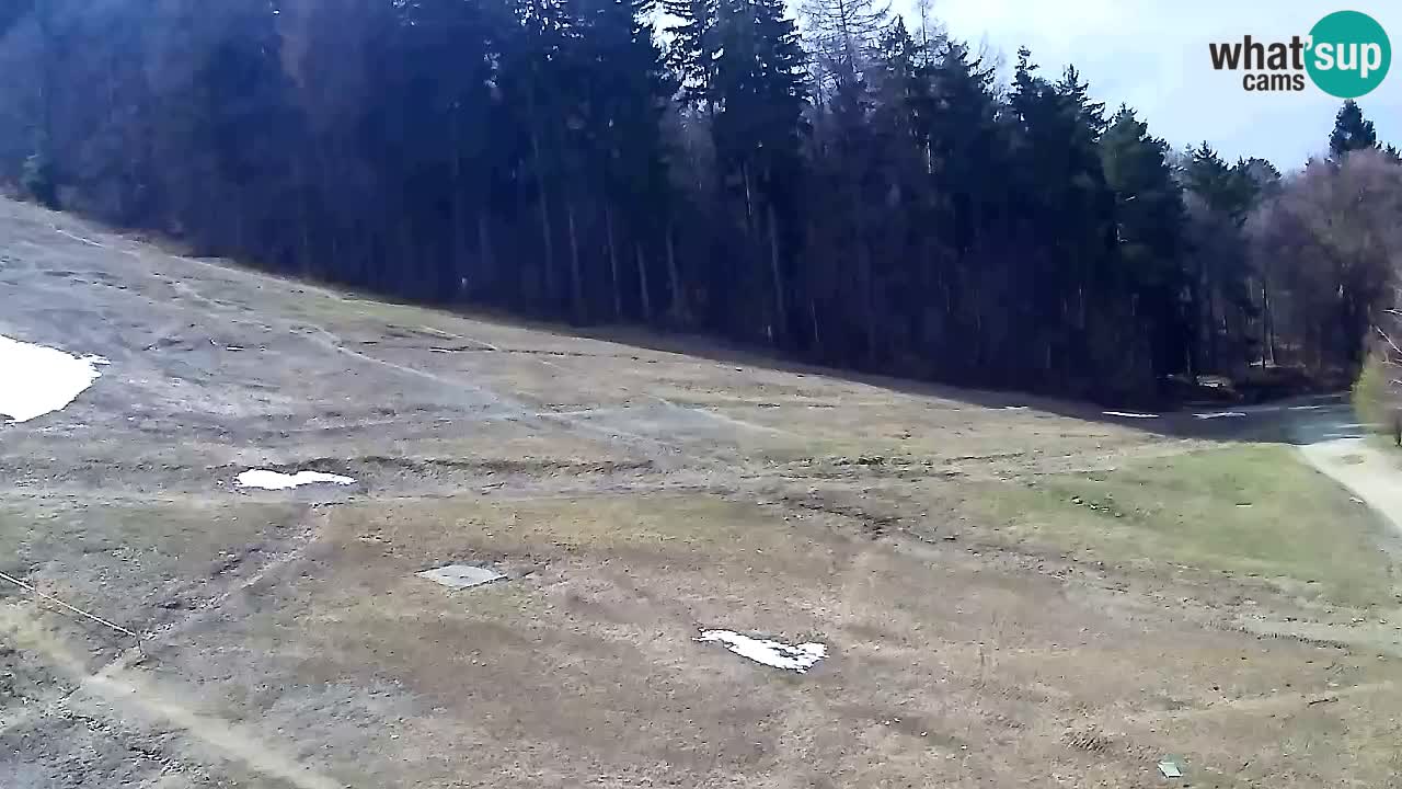 Webcam Pohorje Trikotna Jasa | Poštela