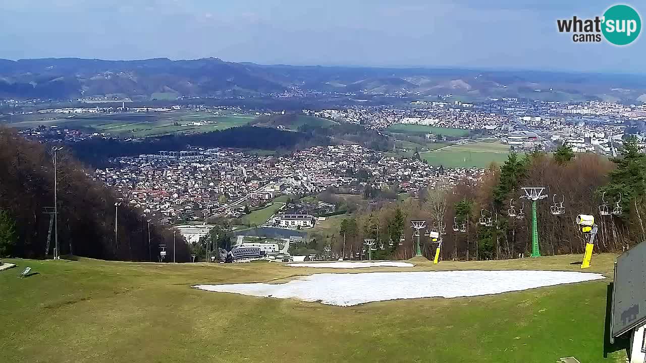 Webcam Pohorje Trikotna Jasa | Poštela