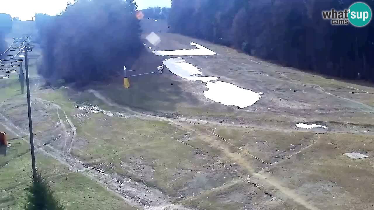 Webcam Pohorje Trikotna Jasa | Poštela