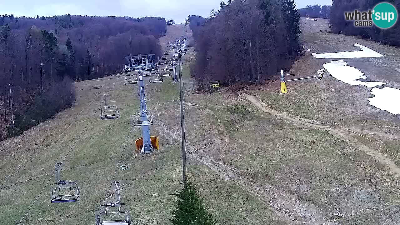 Webcam Pohorje Trikotna Jasa | Poštela
