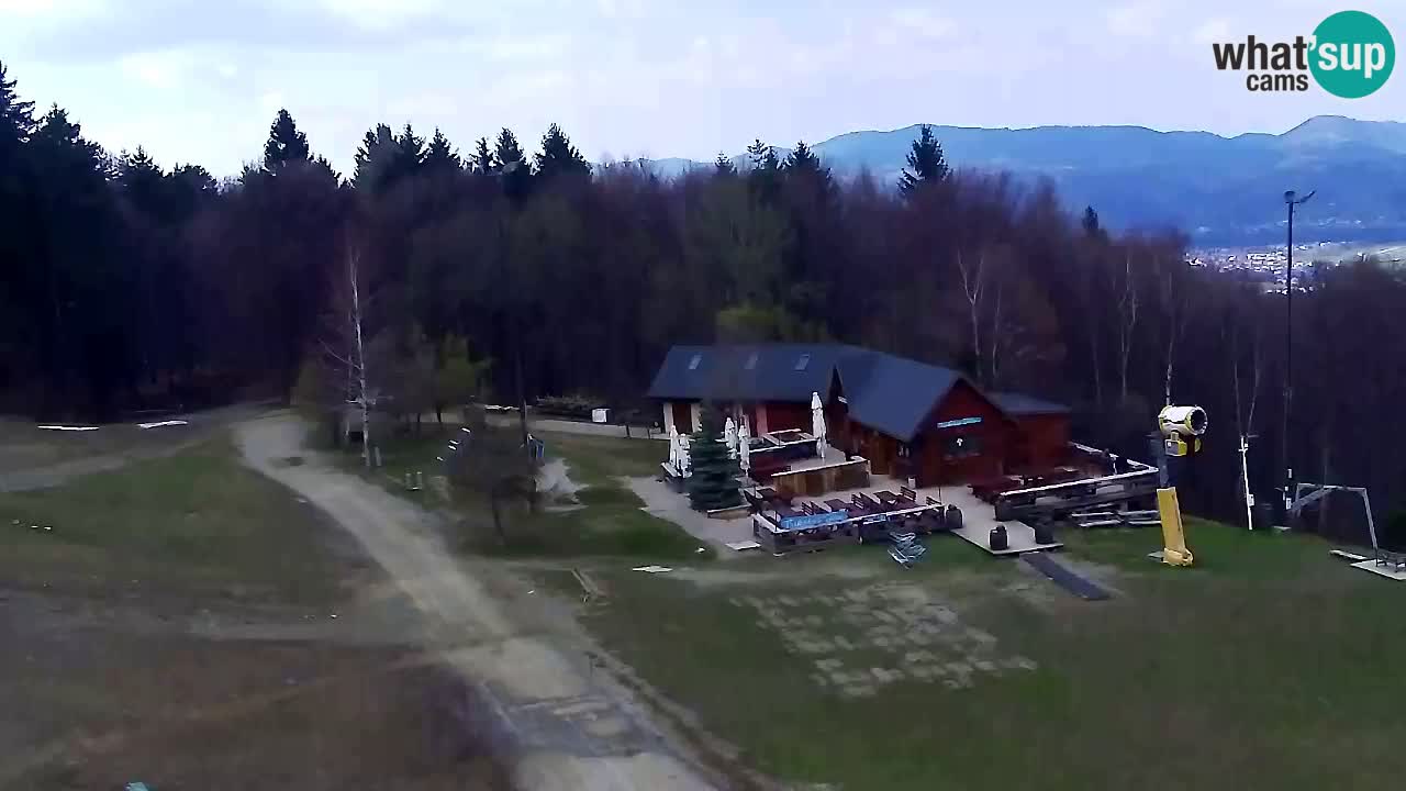 Web Camera Pohorje Trikotna Jasa | Poštela