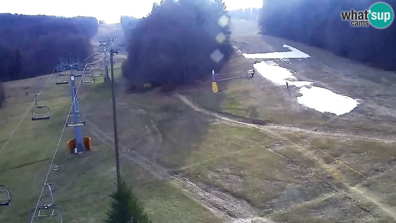 Web Camera Pohorje Trikotna Jasa | Poštela