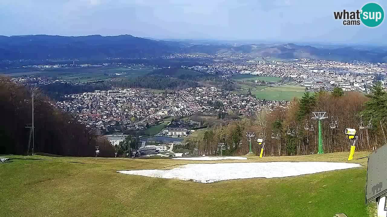 Webcam Pohorje Trikotna Jasa | Poštela