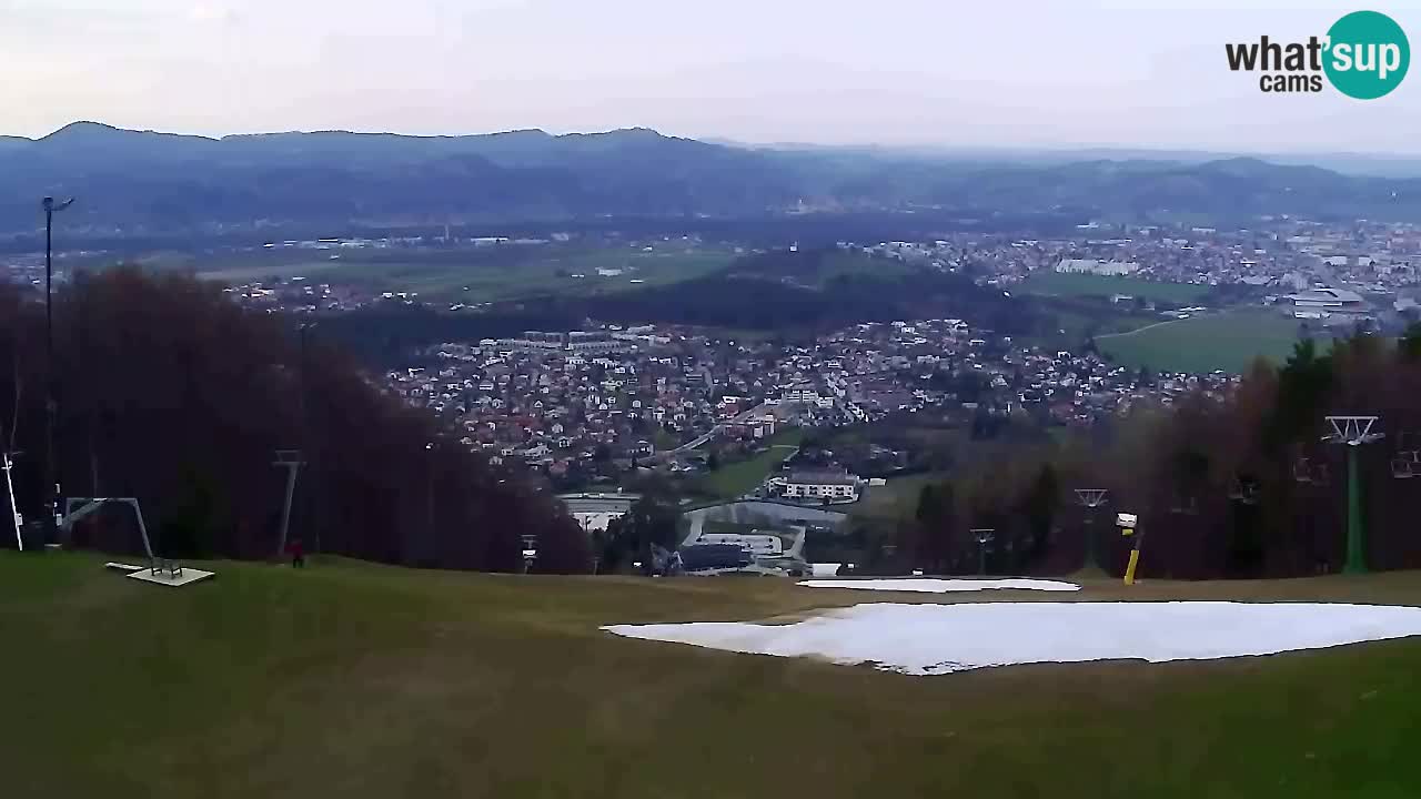 Webcam Pohorje Trikotna Jasa | Poštela