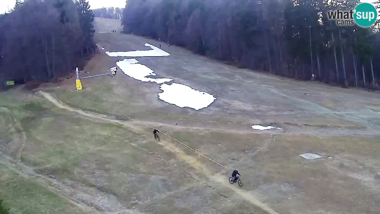 Webcam Pohorje Trikotna Jasa | Poštela