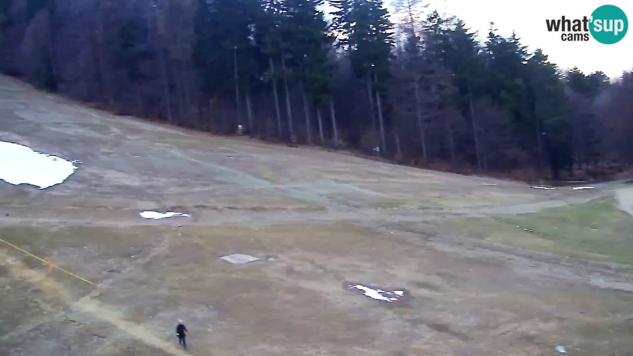 Webcam Pohorje Trikotna Jasa | Poštela