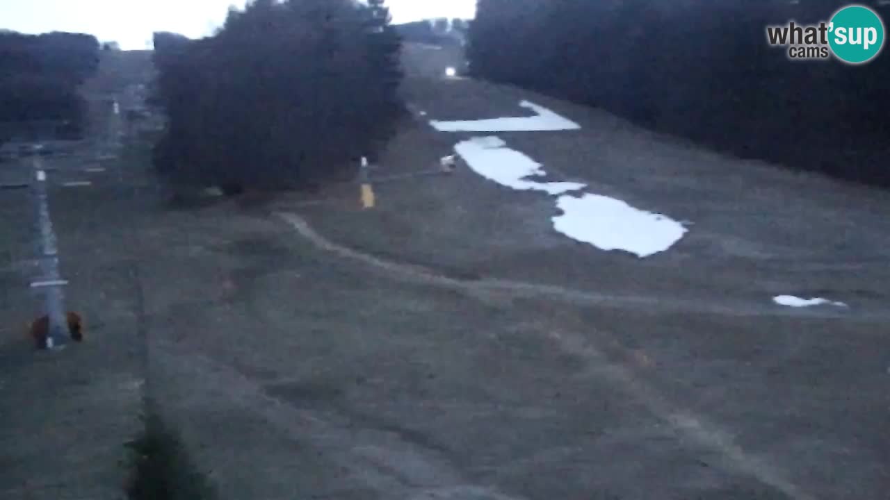 Spletna Kamera Pohorje Trikotna Jasa | Poštela