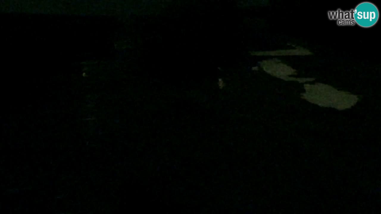 Webcam Pohorje Trikotna Jasa | Poštela